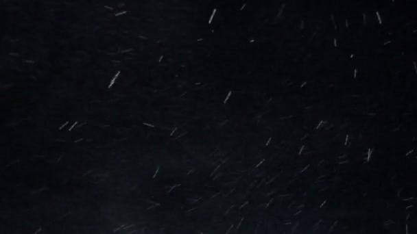 雪板 — ストック動画