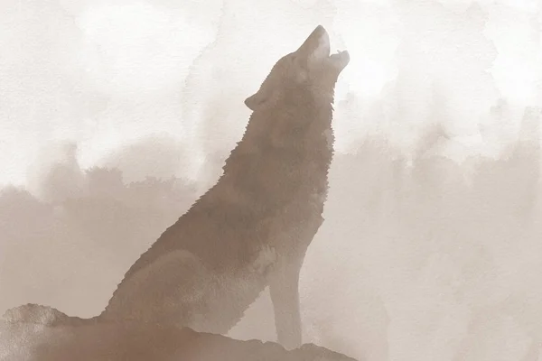 Wolf profile. Abstract Watercolor howling Wolf illustration on beige background. — Stockfoto