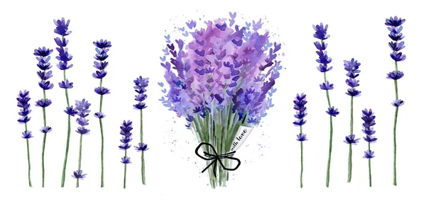 Acuarela Ramo de flores de lavanda Conjunto de ilustración aislado sobre fondo blanco. Acuarela púrpura detalles florales. —  Fotos de Stock