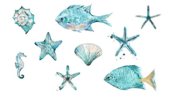 ปลาสีน้ํา เปลือกหอยทะเล ปลาสตาร์ฟิช หอยเชลล์และม้าทะเล ภาพวาดสีน้ําที่แยกจากพื้นหลังสีขาว . — ภาพถ่ายสต็อก
