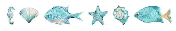 Acuarela Peces Conchas de mar Starfishes Vieira y caballitos de mar. Ilustración en acuarela aislada sobre fondo blanco. Imágenes de stock libres de derechos