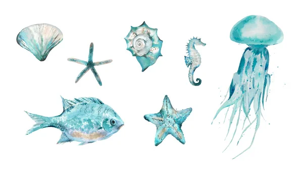 Akvarel Ryby Mořské lastury Hvězdice Hřebenatky a mořští koníci. Akvarelové ilustrace izolované na bílém pozadí. Stock Fotografie
