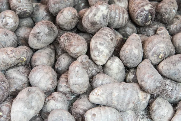 Group Of Taro — Stock Photo, Image