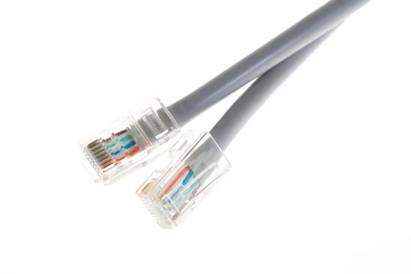 Lan Telekommunikationskabel rj45 auf weißem Hintergrund — Stockfoto