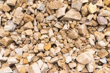 바위와 토양 배경으로 돌