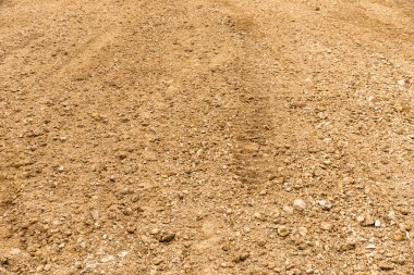 바위와 토양 배경으로 돌