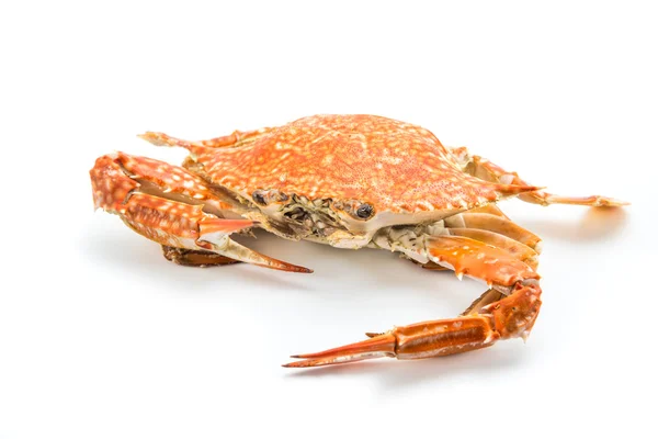 Crabe à vapeur cuit en rouge, orange et blanc — Photo