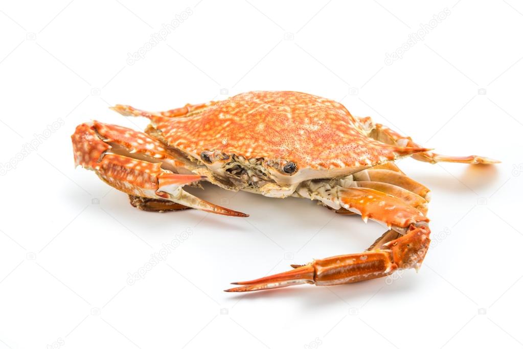 steam crab cooked in red, orange an white