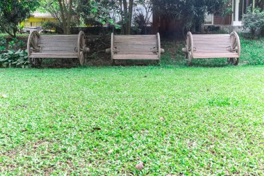 Yeşil Park üç ahşap Bank