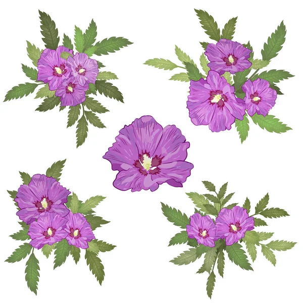 Набір букетів з фіолетовим гібіскусом і листям — стоковий вектор