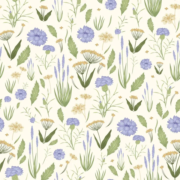 Modèle sans couture avec des fleurs sauvages. Bleuets et herbes à fleurs — Image vectorielle