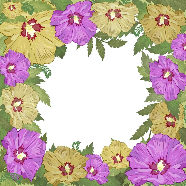 Quadro Flor Quadrado Com Flores Hibisco Guirlanda Floral Grinalda — Fotografia de Stock