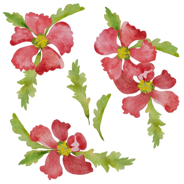 Set Wreaths Red Flowers Watercolor Paint — Fotografia de Stock