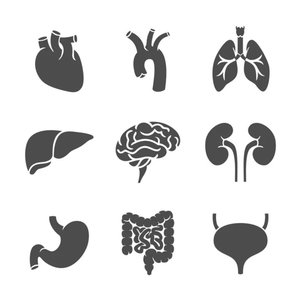 Ícone Órgãos Internos Humanos Estilo Moderno Simples Plano Conceito Medicina —  Vetores de Stock