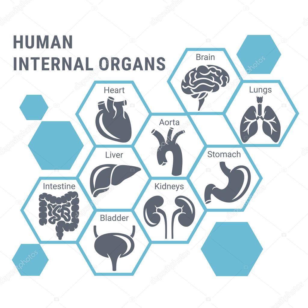 Abstract healthcare banner template with human internal organs icons in flat, simple style. Healthcare medicine concept. Vector illustration.