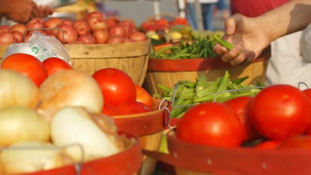 Świeże warzywa są zakupione na rynku farmer's. — Wideo stockowe