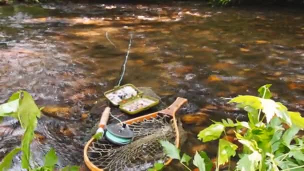 Pesca com mosca no córrego da montanha — Vídeo de Stock