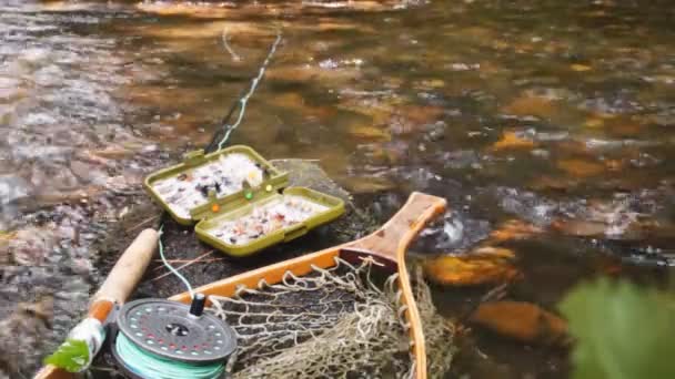 Pesca con mosca en arroyo de montaña — Vídeos de Stock