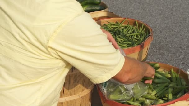 Alimentos vendidos pelo agricultor — Vídeo de Stock