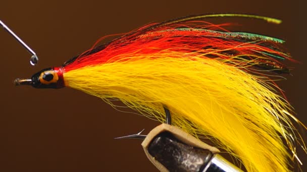 Fly tying Saltwater Streamer — Stock Video