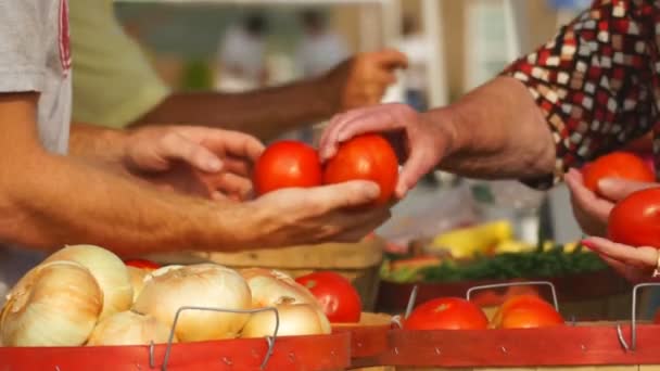 Food being purchased at Farmer's Market — Stock Video