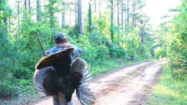 Hunter with Wild Turkey — Stock Video