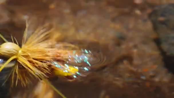 Pêche à la mouche ruisseau montagne 