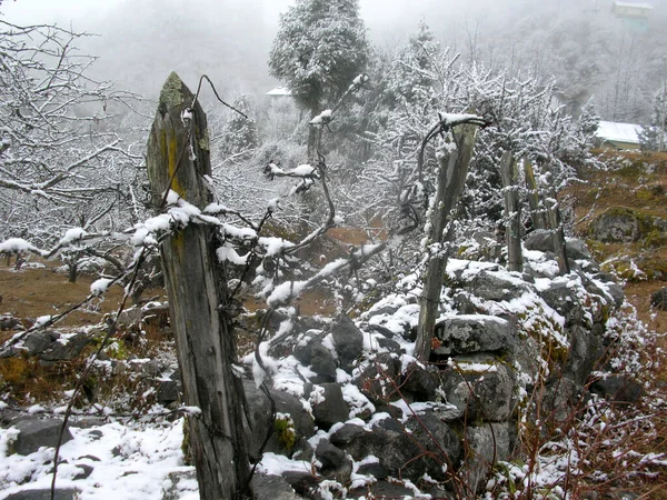 Uma Vista Fascinante Após Queda Neve Fresca Parece Hipnotizante Lachung — Fotografia de Stock
