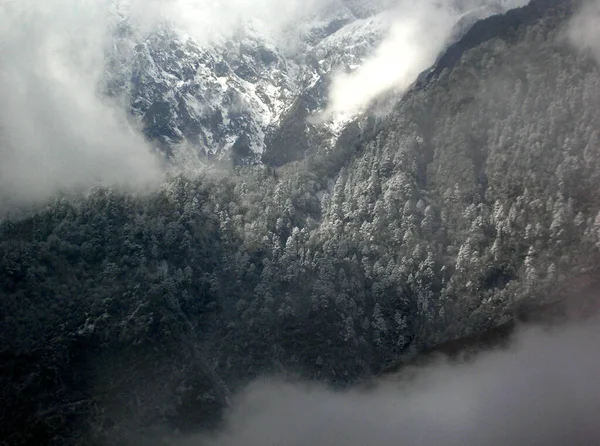 Nevoeiro Fumaça Engoliu Terreno Escarpado Pinheiros Coníferas Após Queda Neve — Fotografia de Stock