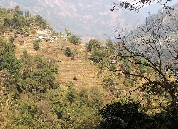 Doğu Sikkim Deki Lingmo Köyündeki Geleneksel Evlerle Birlikte Boş Arazinin — Stok fotoğraf