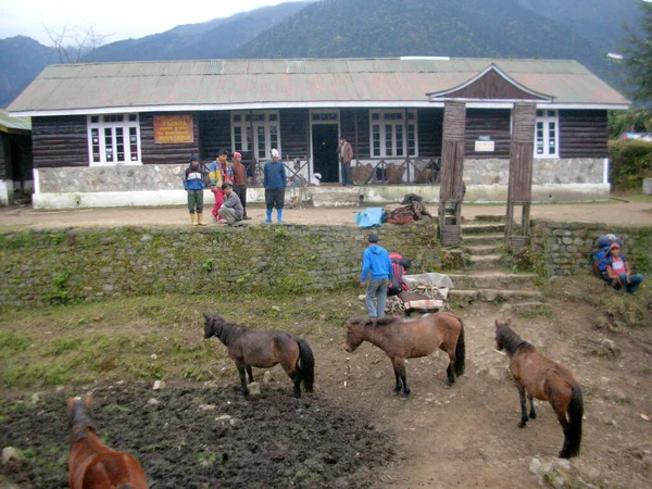 Треккери Готуються Походу Дзонгрі Поні Чекають Завантаження Tshoka Trekking Hut — стокове фото
