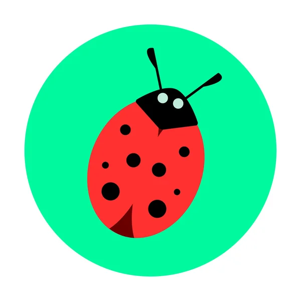 Ladybug on a green background — Stock Vector