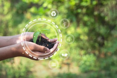 Yeşil ağacı koruyan eller. Ekoloji ve Çevre Konsepti. Dünya Günü konsepti.