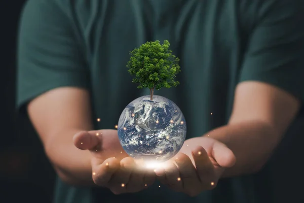 地球日 手牵着树 生态地球日 — 图库照片