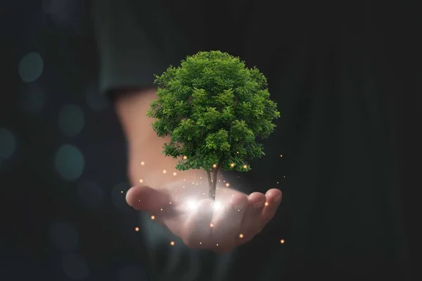 世界地球日 保护环境 拯救清洁的地球 生态概念 人类手中的树 — 图库照片