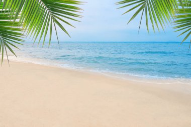 Palm, tropik plaj ve deniz altyapısı olan kum. Yaz tatili ve seyahat konsepti. 