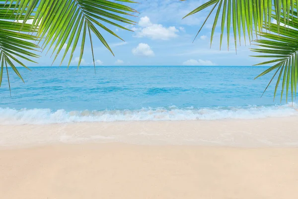 Palm, tropik plaj ve deniz altyapısı olan kum. Yaz tatili ve seyahat konsepti. 