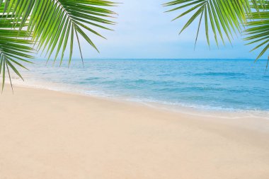 Palm, tropik plaj ve deniz altyapısı olan kum. Yaz tatili ve seyahat konsepti. 
