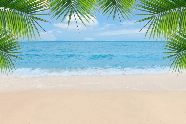 Palm, tropik plaj ve deniz altyapısı olan kum. Yaz tatili ve seyahat konsepti. 