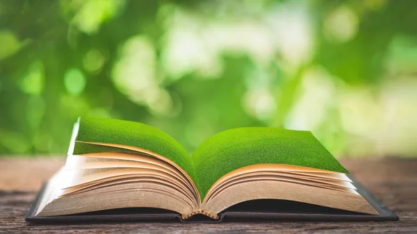 Offenes Buch Mit Ecosystem Konzept Eines Offenen Magischen Buches Grünes Stockfoto