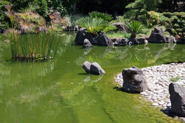 Koi pond in a Japanese Tea garden in a public park in San Mateo in California