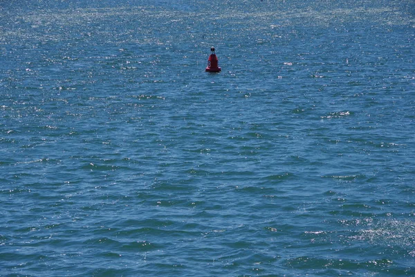 Single Large Red Buoy Marke Floating Blue Ocean Water Harbor — Stock Photo, Image