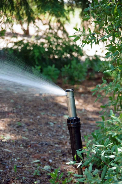 Garden Water Sprinkler Action Spraying Plants — Stock Photo, Image