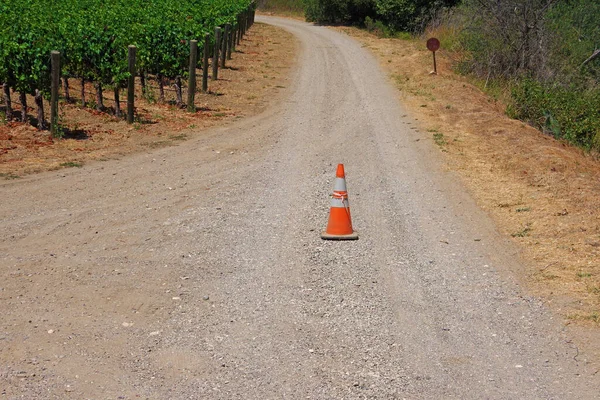 Unico Cono Traffico Che Segna Incrocio Due Strade Sterrate Tra — Foto Stock