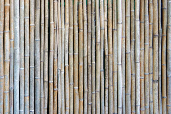 Полный Вид Выветривающийся Бамбуковый Забор Крупным Планом — стоковое фото