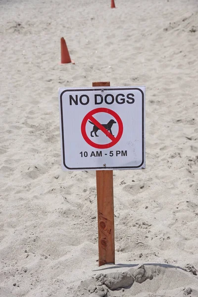 Perros 10Am Signo Publicado Una Playa Pública —  Fotos de Stock