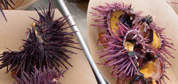 Cracked open sea urchins on paper plates ready to eat at a seafood festival