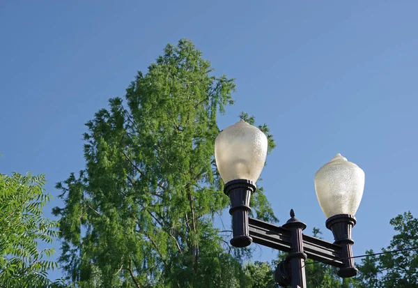 Mavi Gökyüzünün Altında Bir Ağacı Olan Eski Moda Sokak Feneri — Stok fotoğraf