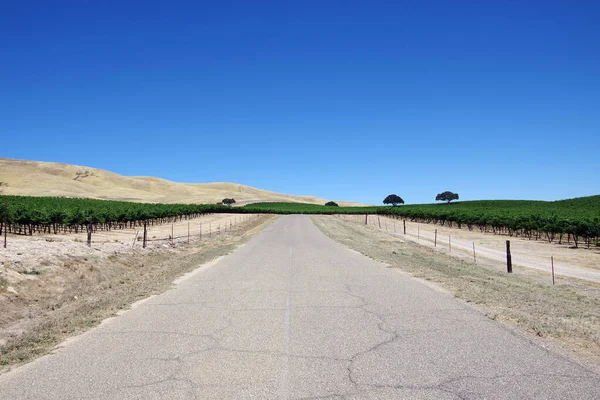 Camino Campo California Cerca Paso Robles Día Verano Cielo Azul — Foto de Stock