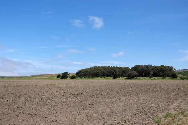 Ein Gepflügtes Feld Zentralen Kalifornischen Farmland Mit Waldstücken Dahinter Und — Stockfoto